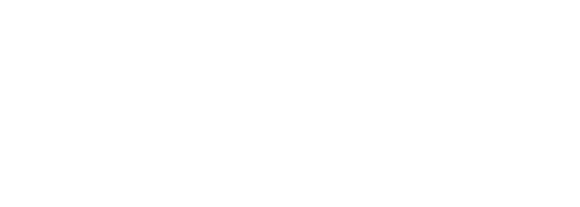 Voler.ai